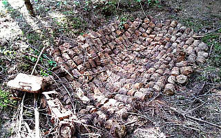 Arsenał niewybuchów w lesie koło Ełku Arsenał niewybuchów w lesie koło Ełku